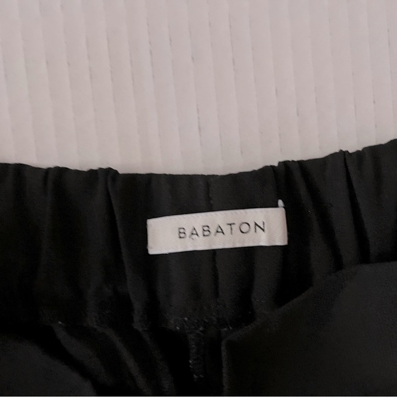 Aritzia Babaton Cohen trouser - Picture 9 of 11